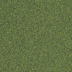 Ковровая плитка Interface Biosfera Boucle 7890 Giado фото 1 | FLOORDEALER